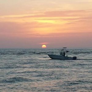 Meet your Posher, Kassidy